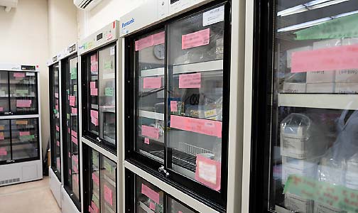 治験薬保管室内に並ぶ10台の冷蔵保管庫